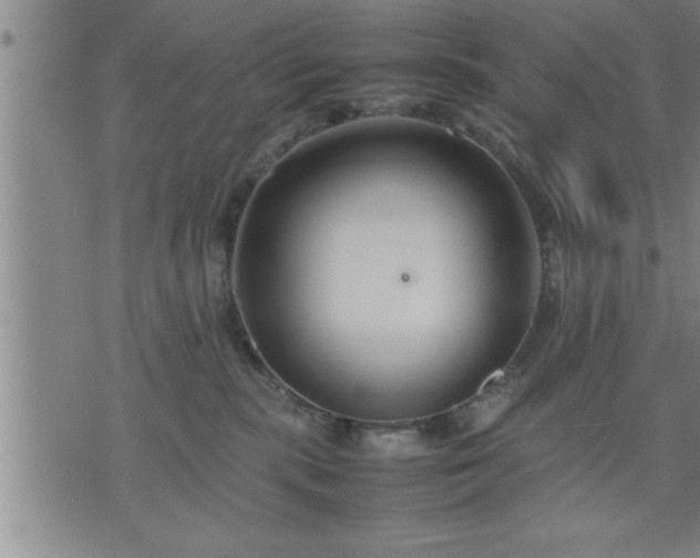 X0000075840283200609221713