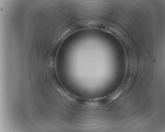 X0000075840284200609221713