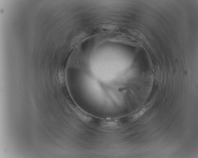 X0000075840285200609221713