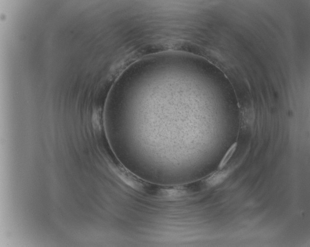 X0000075840286200609221713