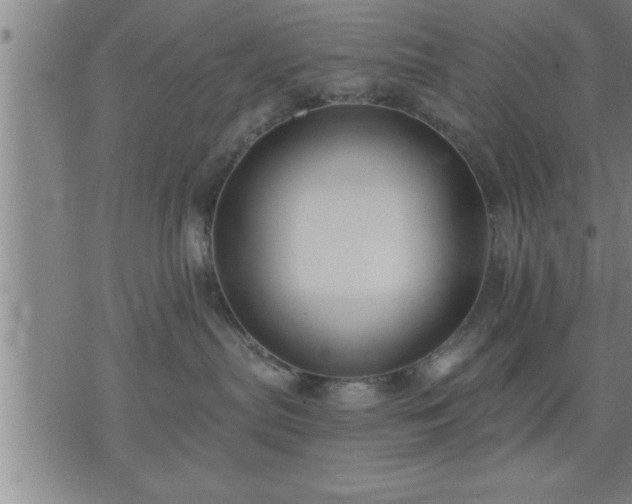 X0000075840287200609221713