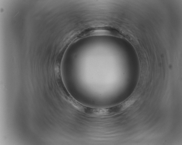 X0000075840288200609221713