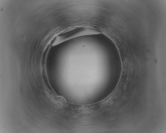 X0000075840290200609221712