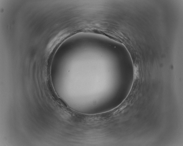 X0000075840291200609221712