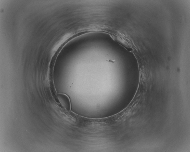 X0000075840292200609221712