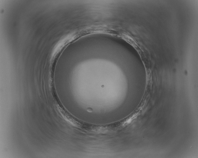 X0000075840293200609221712