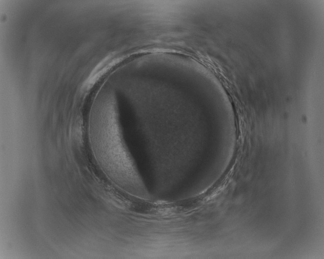 X0000075840295200609221712