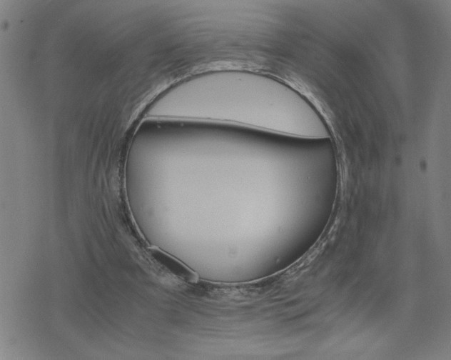 X0000075840297200609221712