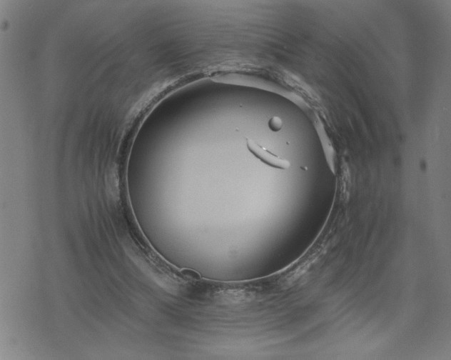 X0000075840298200609221712