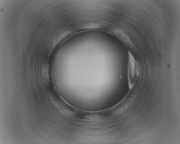 X0000075840300200609221712