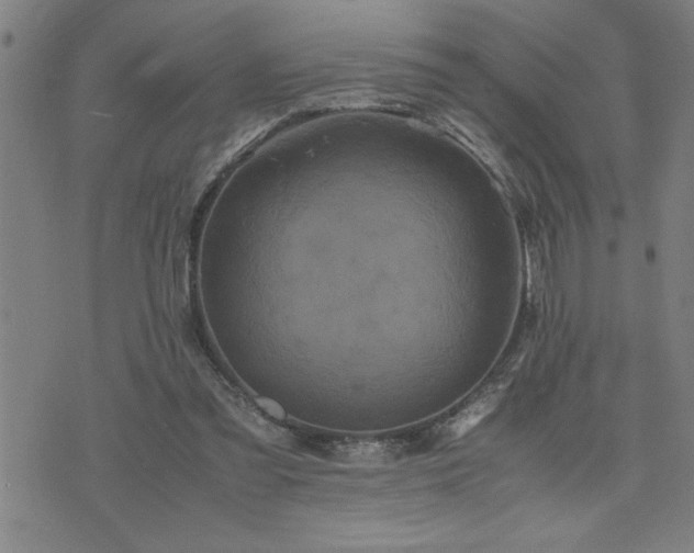 X0000075840301200609221712