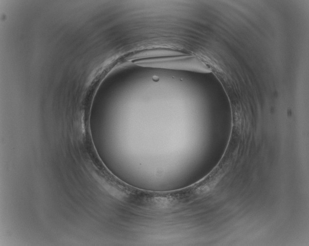 X0000075840302200609221712