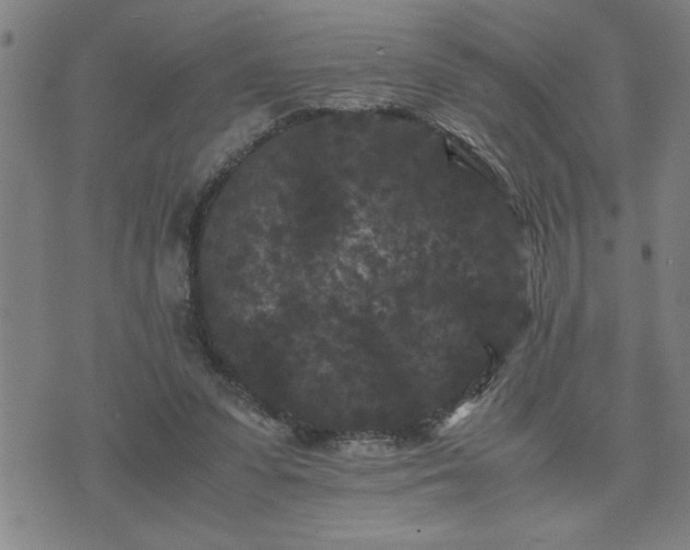 X0000075840303200609221712