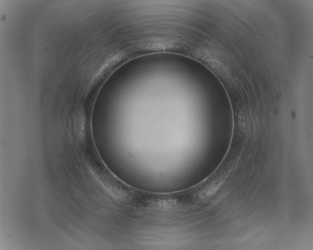 X0000075840304200609221712