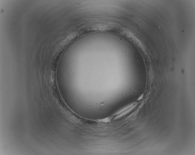 X0000075840305200609221712