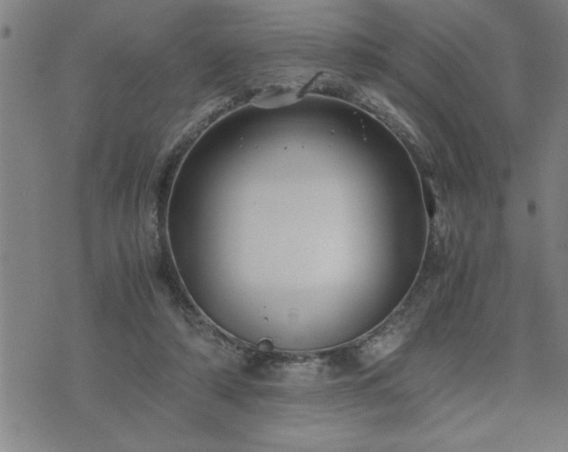 X0000075840306200609221712