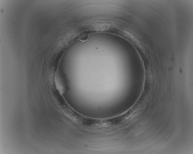 X0000075840307200609221712