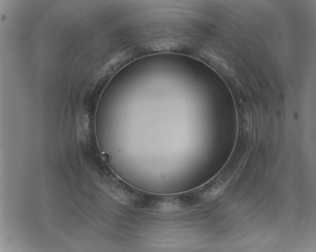 X0000075840308200609221712