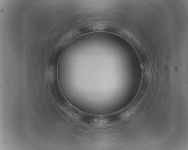 X0000075840311200609221712