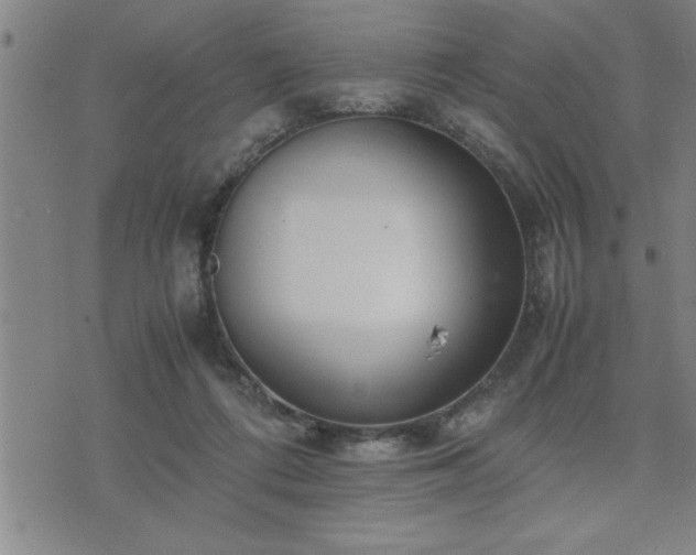 X0000075840312200609221712