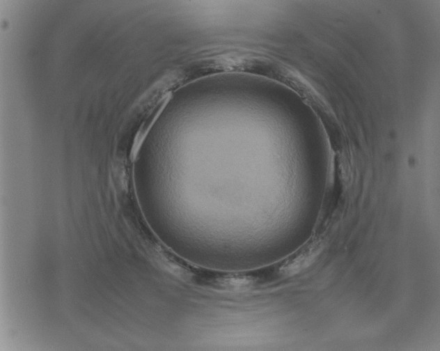 X0000075840313200609221712