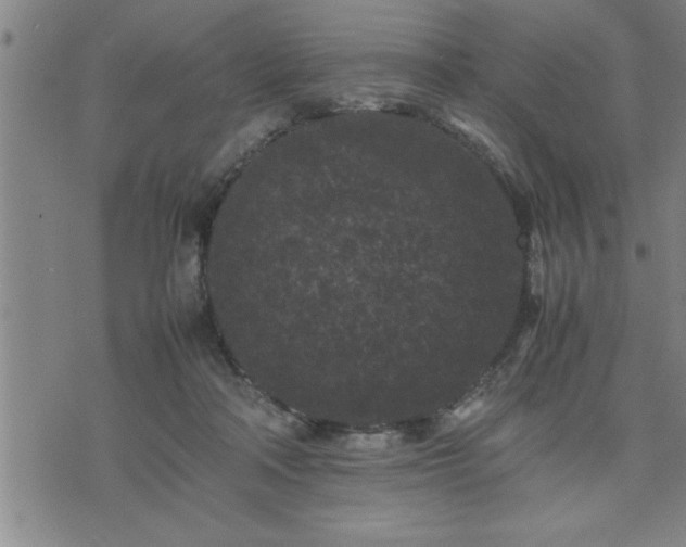 X0000075840314200609221712