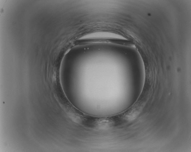 X0000075840315200609221711