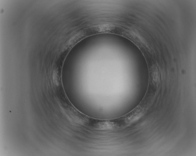 X0000075840316200609221711