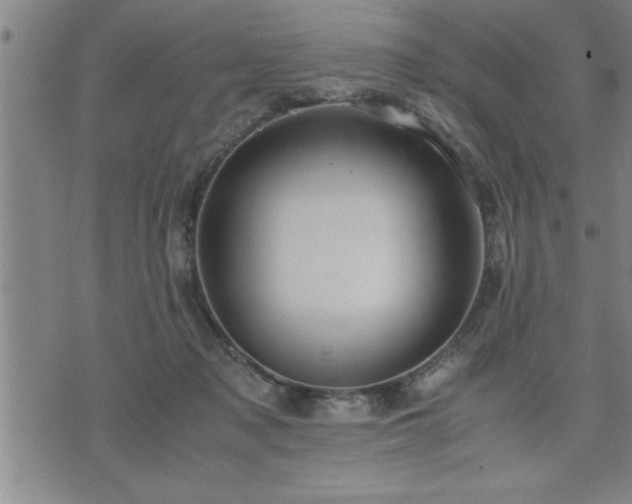 X0000075840317200609221711