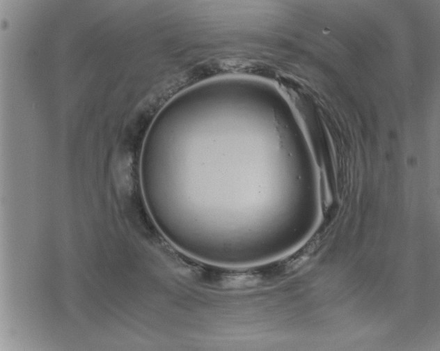 X0000075840319200609221711