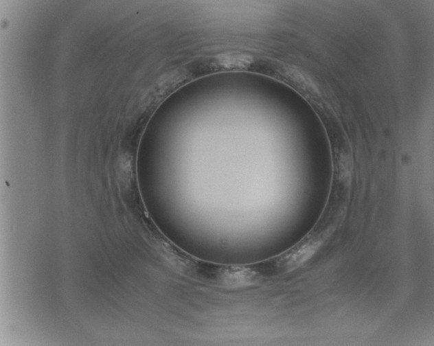 X0000075840321200609221711