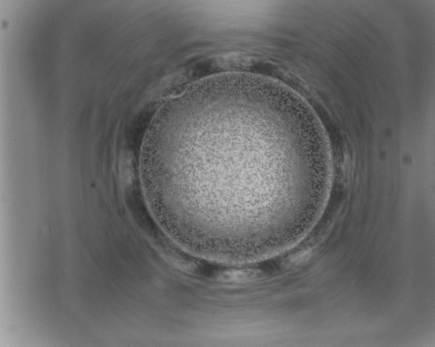 X0000075840323200609221711