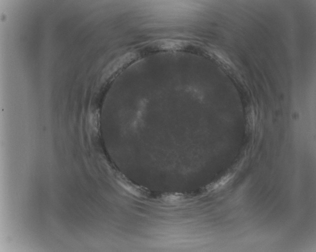 X0000075840325200609221711