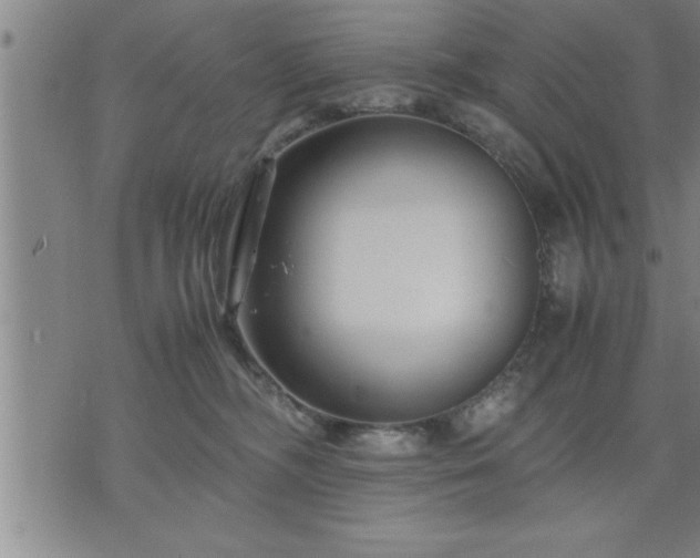 X0000075840326200609221711