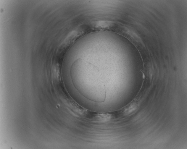 X0000075840328200609221711