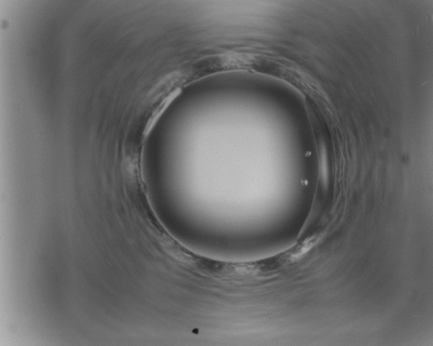 X0000075840329200609221711