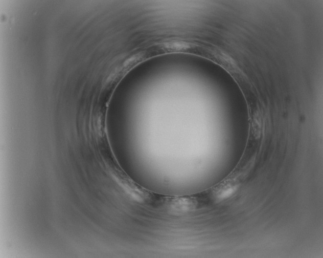 X0000075840330200609221711