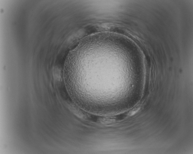 X0000075840331200609221711