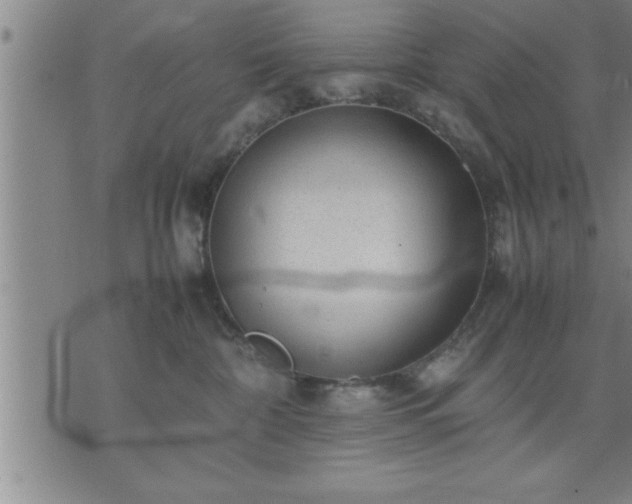 X0000075840332200609221711