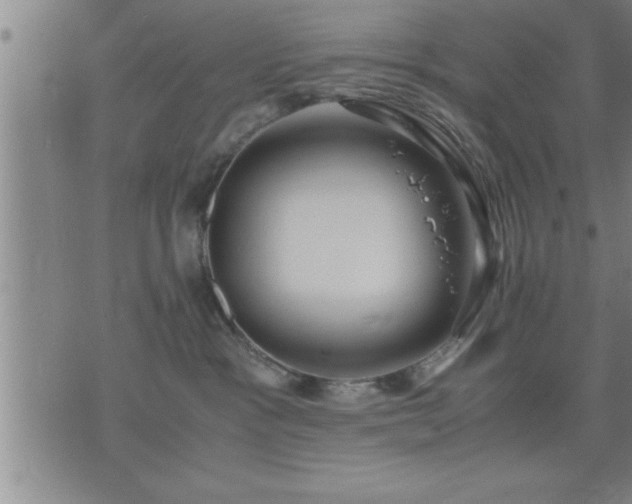 X0000075840333200609221711