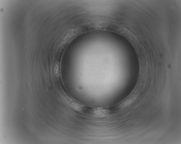 X0000075840336200609221711