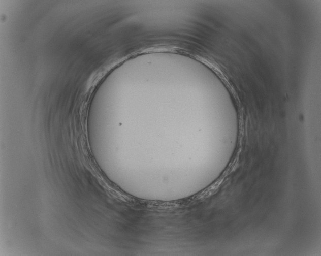 X0000075840337200609221710