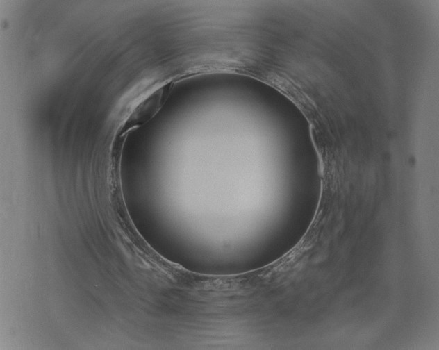 X0000075840338200609221710