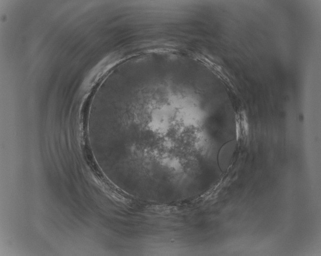 X0000075840339200609221710