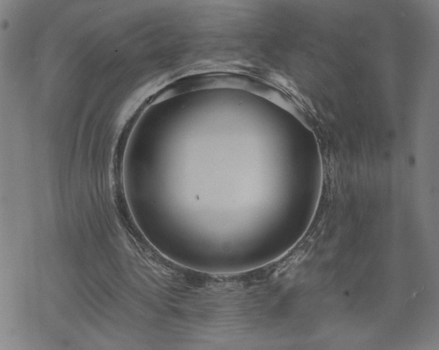 X0000075840340200609221710