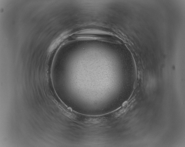 X0000075840341200609221710