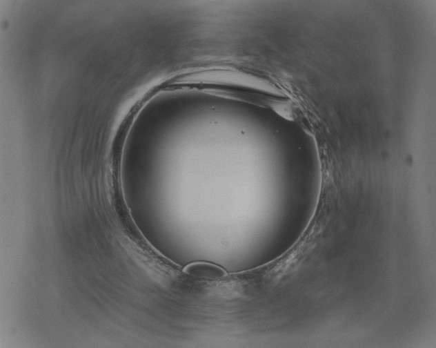 X0000075840342200609221710