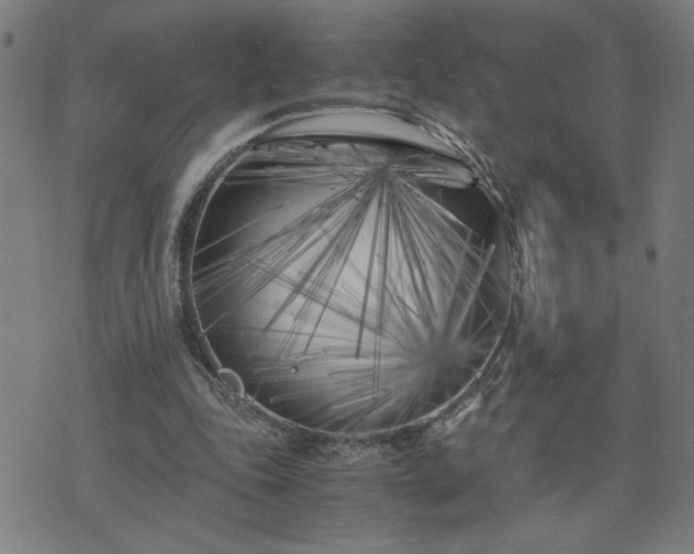 X0000075840343200609221710