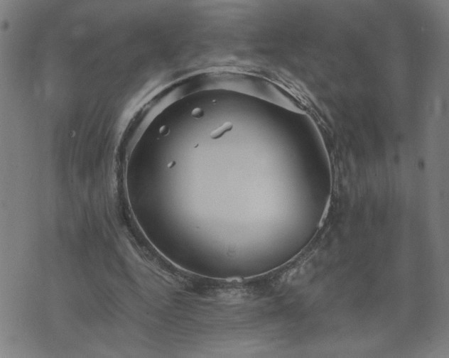 X0000075840344200609221710