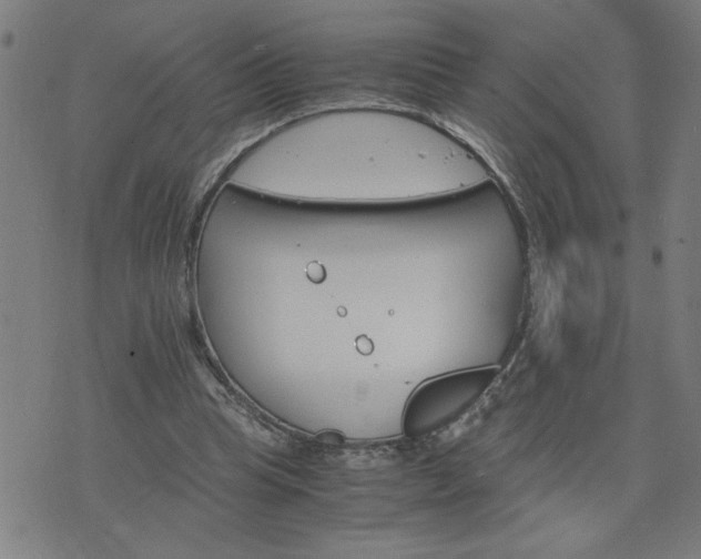 X0000075840345200609221710